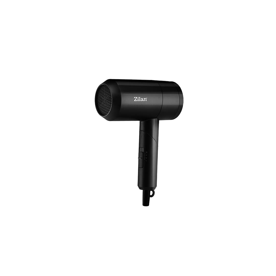 ZLN9174 PANACEA HAIR DRYER