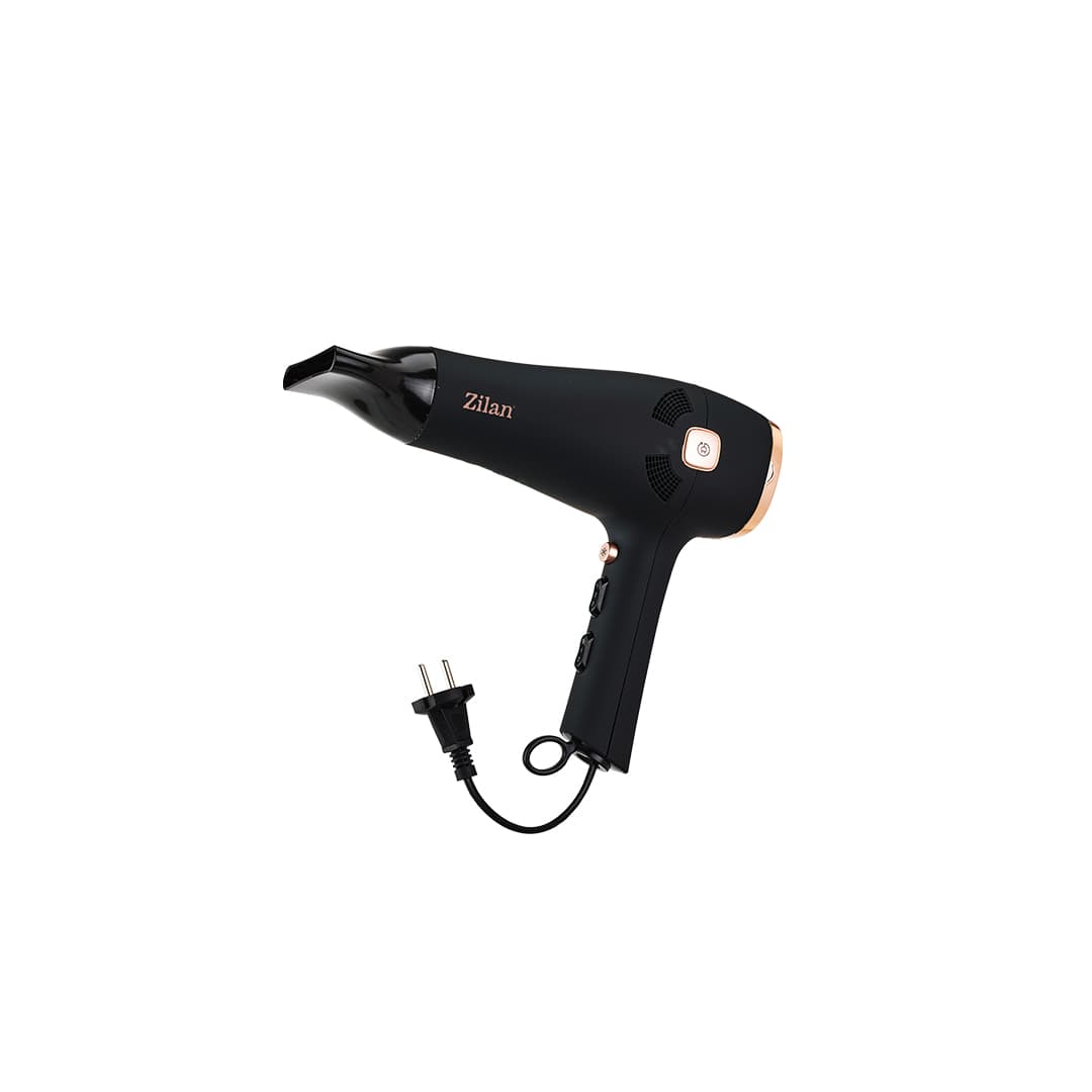 ZLN9143 THEMIS HAIR DRYER